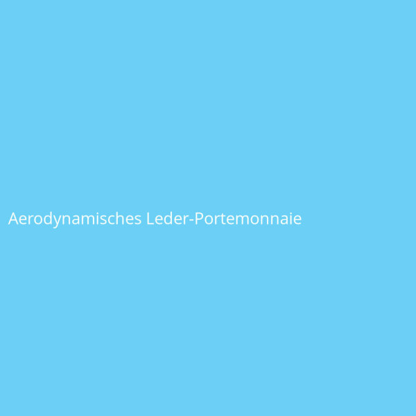 Aerodynamisches Leder-Portemonnaie